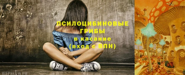 стаф Гусев
