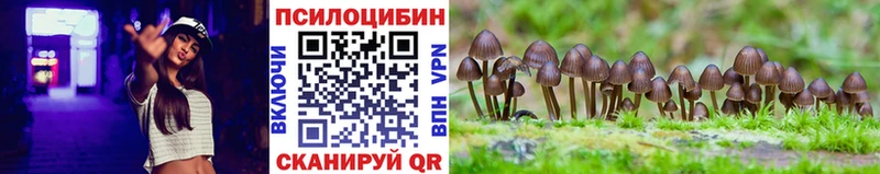 Галлюциногенные грибы GOLDEN TEACHER Зверево
